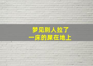 梦见别人拉了一床的屎在地上