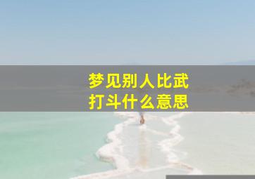 梦见别人比武打斗什么意思