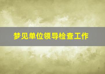 梦见单位领导检查工作