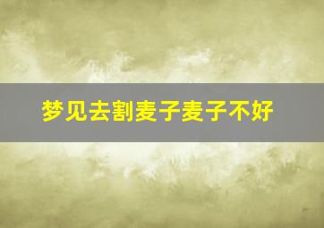 梦见去割麦子麦子不好