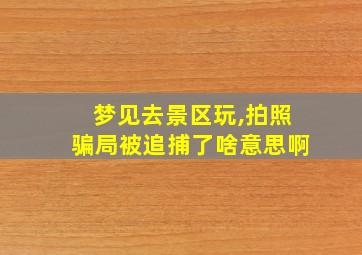 梦见去景区玩,拍照骗局被追捕了啥意思啊