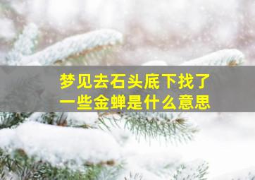 梦见去石头底下找了一些金蝉是什么意思