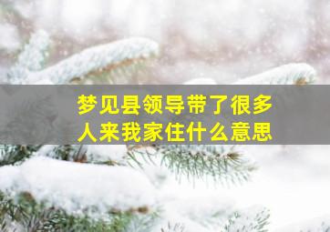 梦见县领导带了很多人来我家住什么意思