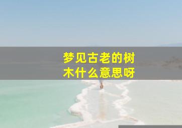 梦见古老的树木什么意思呀