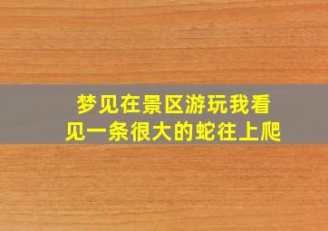 梦见在景区游玩我看见一条很大的蛇往上爬