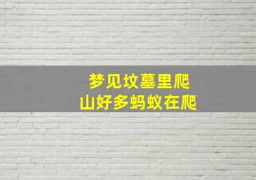 梦见坟墓里爬山好多蚂蚁在爬