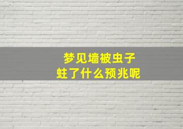 梦见墙被虫子蛀了什么预兆呢