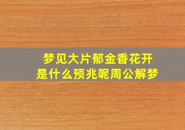 梦见大片郁金香花开是什么预兆呢周公解梦