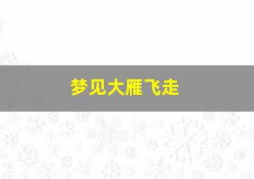 梦见大雁飞走