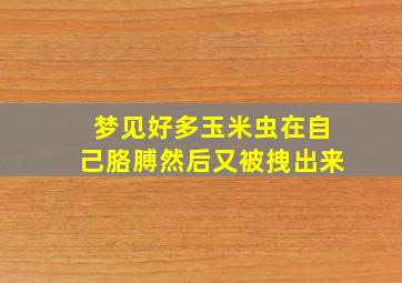 梦见好多玉米虫在自己胳膊然后又被拽出来