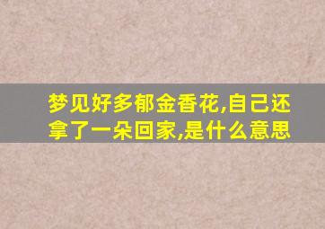 梦见好多郁金香花,自己还拿了一朵回家,是什么意思