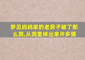 梦见妈妈家的老房子破了那么洞,从洞里掉出来许多猫