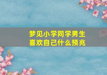 梦见小学同学男生喜欢自己什么预兆