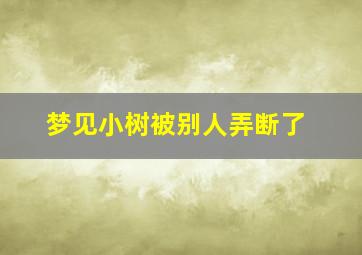 梦见小树被别人弄断了