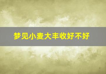 梦见小麦大丰收好不好