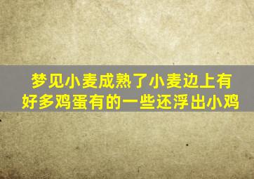 梦见小麦成熟了小麦边上有好多鸡蛋有的一些还浮出小鸡