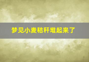 梦见小麦秸秆堆起来了