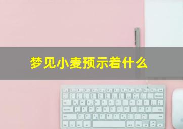 梦见小麦预示着什么