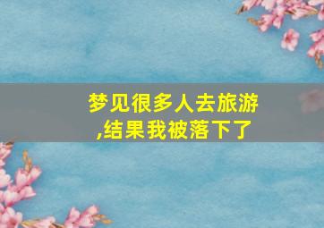 梦见很多人去旅游,结果我被落下了