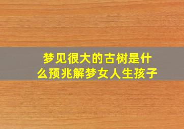 梦见很大的古树是什么预兆解梦女人生孩子