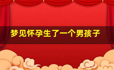 梦见怀孕生了一个男孩子