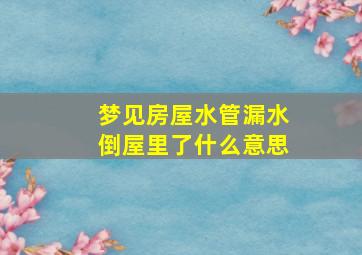 梦见房屋水管漏水倒屋里了什么意思