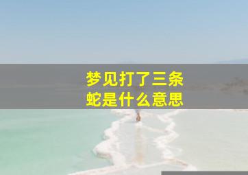 梦见打了三条蛇是什么意思