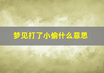 梦见打了小偷什么意思