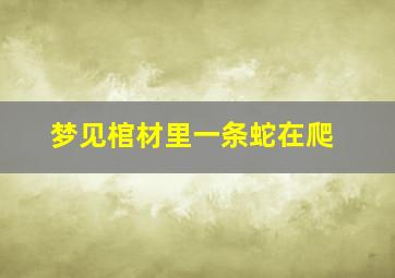 梦见棺材里一条蛇在爬