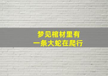 梦见棺材里有一条大蛇在爬行