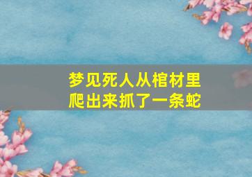 梦见死人从棺材里爬出来抓了一条蛇