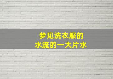 梦见洗衣服的水流的一大片水