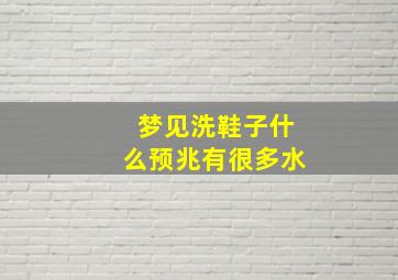 梦见洗鞋子什么预兆有很多水