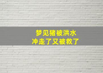 梦见猪被洪水冲走了又被救了