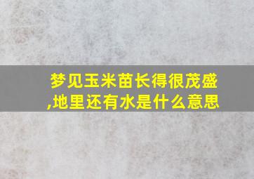 梦见玉米苗长得很茂盛,地里还有水是什么意思