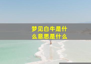 梦见白牛是什么意思是什么