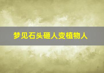 梦见石头砸人变植物人