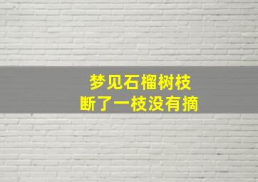 梦见石榴树枝断了一枝没有摘