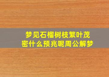 梦见石榴树枝繁叶茂密什么预兆呢周公解梦