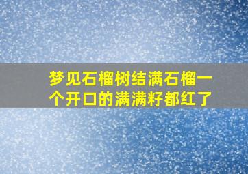 梦见石榴树结满石榴一个开口的满满籽都红了