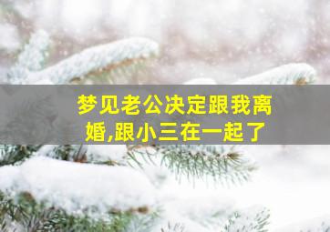 梦见老公决定跟我离婚,跟小三在一起了