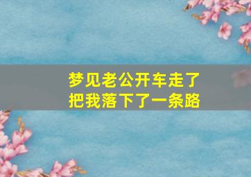 梦见老公开车走了把我落下了一条路