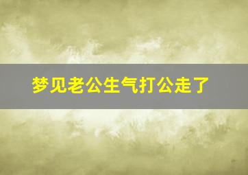 梦见老公生气打公走了