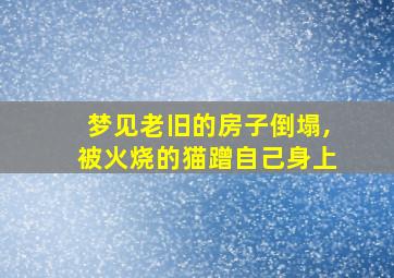 梦见老旧的房子倒塌,被火烧的猫蹭自己身上