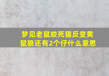 梦见老鼠咬死猫反变黄鼠狼还有2个仔什么意思