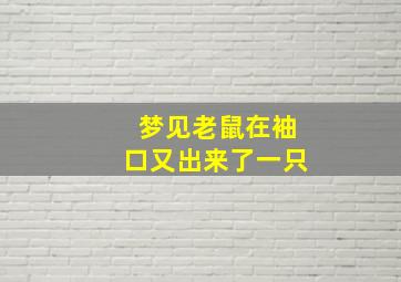 梦见老鼠在袖口又出来了一只