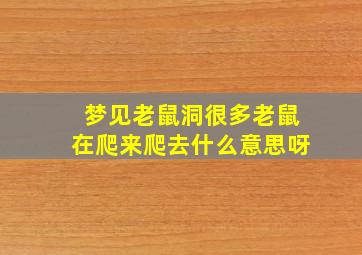 梦见老鼠洞很多老鼠在爬来爬去什么意思呀