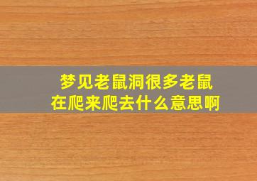 梦见老鼠洞很多老鼠在爬来爬去什么意思啊