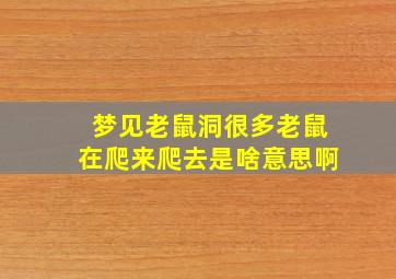 梦见老鼠洞很多老鼠在爬来爬去是啥意思啊