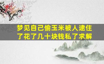 梦见自己偷玉米被人逮住了花了几十块钱私了求解